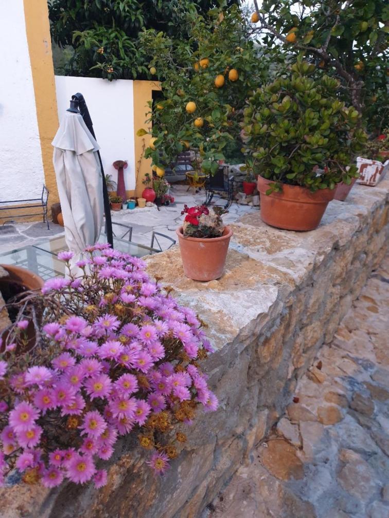 Casa Das Janelinhas - Cottage Near Sintra, Mafra, Ericeira Exteriér fotografie
