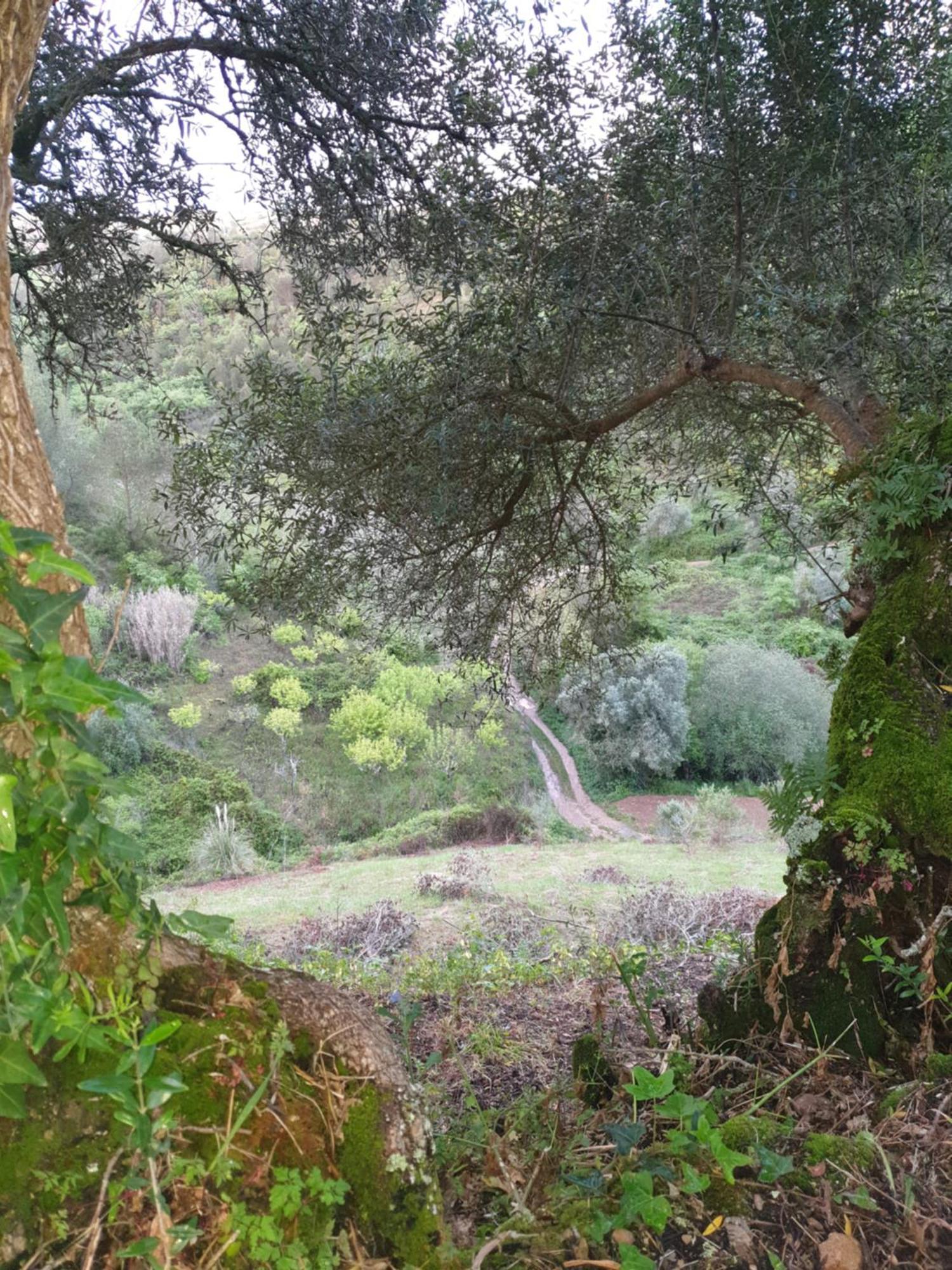 Casa Das Janelinhas - Cottage Near Sintra, Mafra, Ericeira Exteriér fotografie